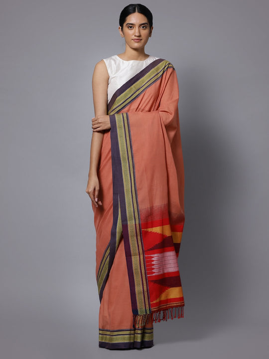 Coral ilkal handloom cotton saree