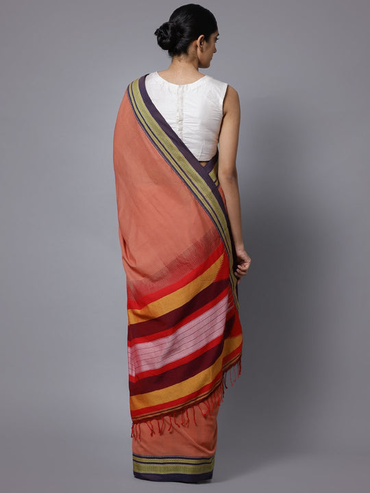 Coral ilkal handloom cotton saree