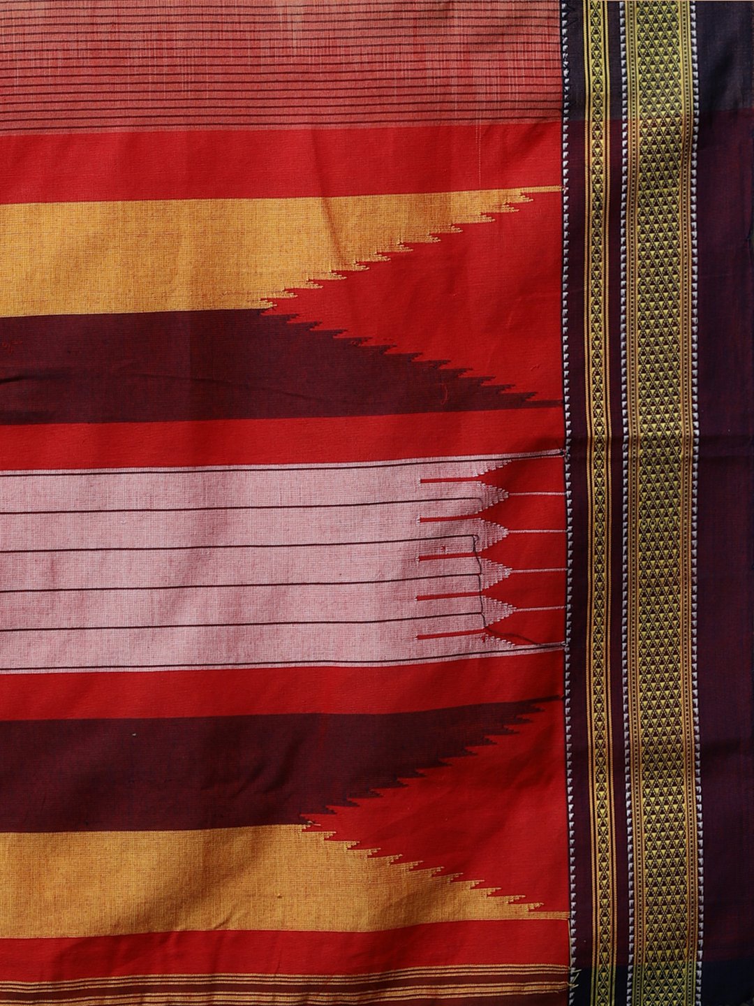 Coral ilkal handloom cotton saree